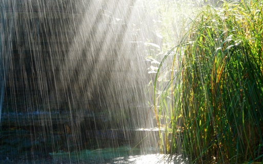 Aa-rainy-day-2560x1600